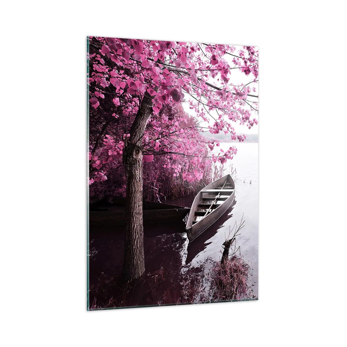 Obraz na skle - V růžovém tichu - 50x70 cm
