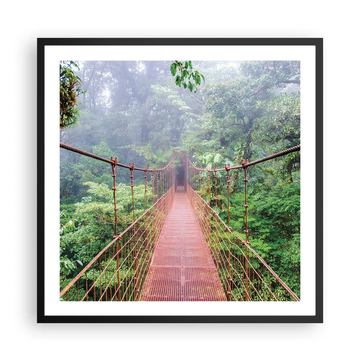 Plakát v černém rámu - Zavěšený nad korunami - 60x60 cm