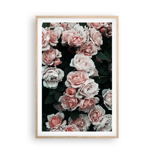Plakát v rámu světlý dub - Růžový ansámbl - 61x91 cm