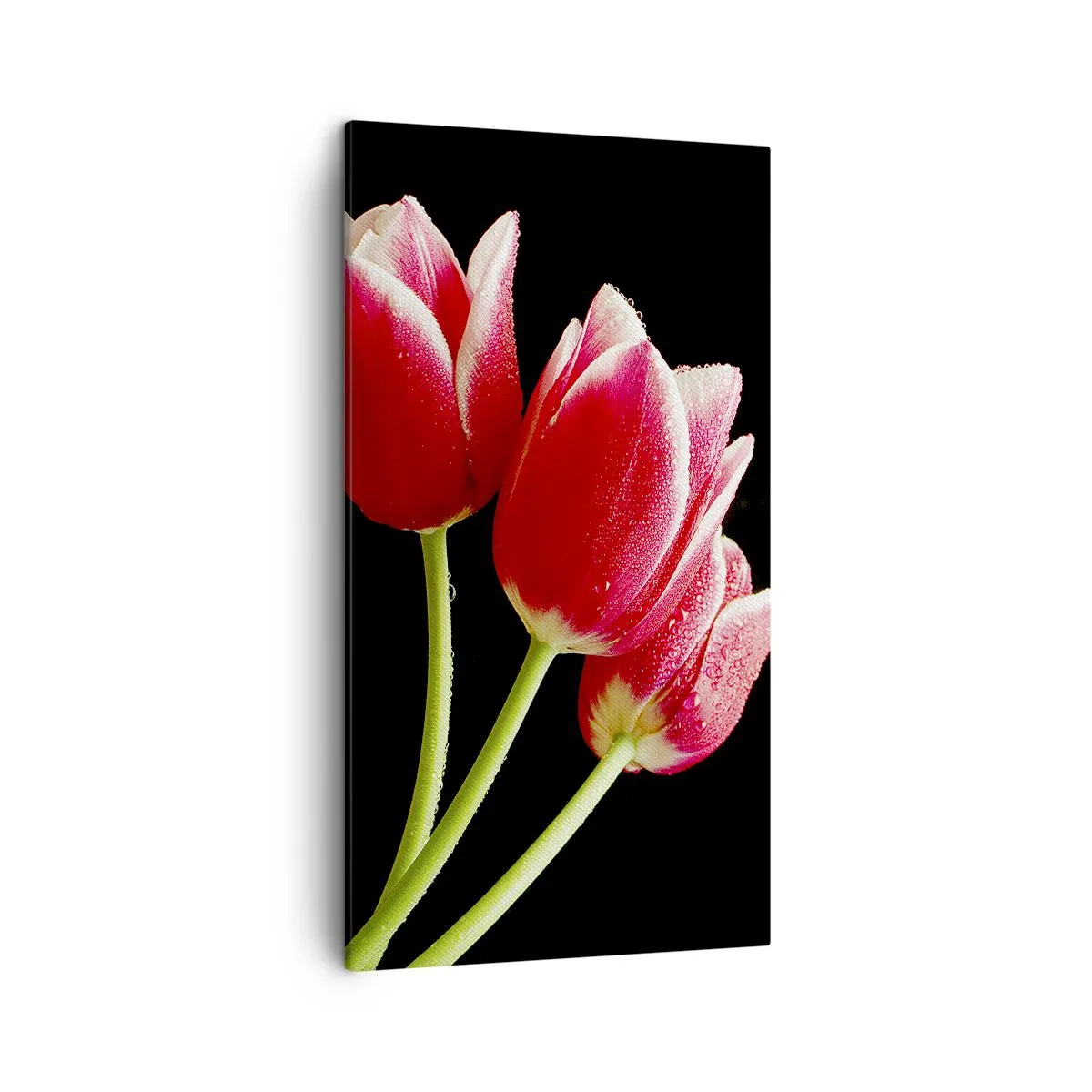 Obraz na plátně - Slib čisté lásky - 45x80 cm