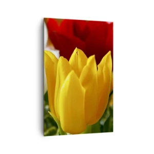 Obraz na plátně - Tulipánová horečka - 80x120 cm