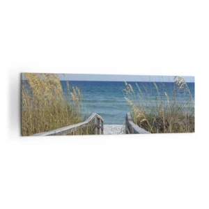 Obraz na plátně - Na slunci, ve větru - 160x50 cm