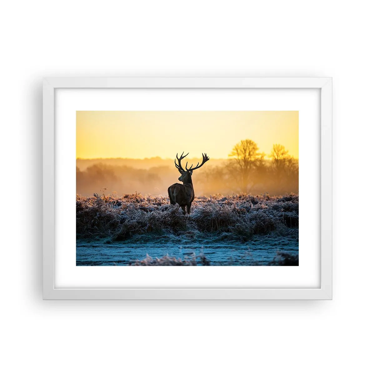 Plakát v bílém rámu - Korunován na svém panství - 40x30 cm