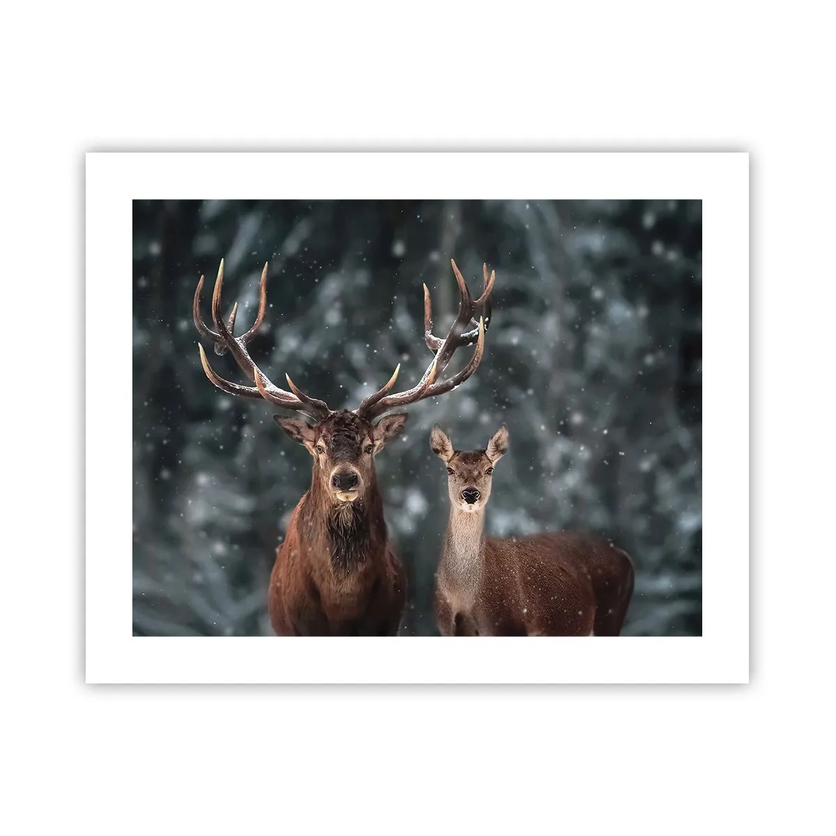 Plakát - Pán lesa se svou ženou - 50x40 cm