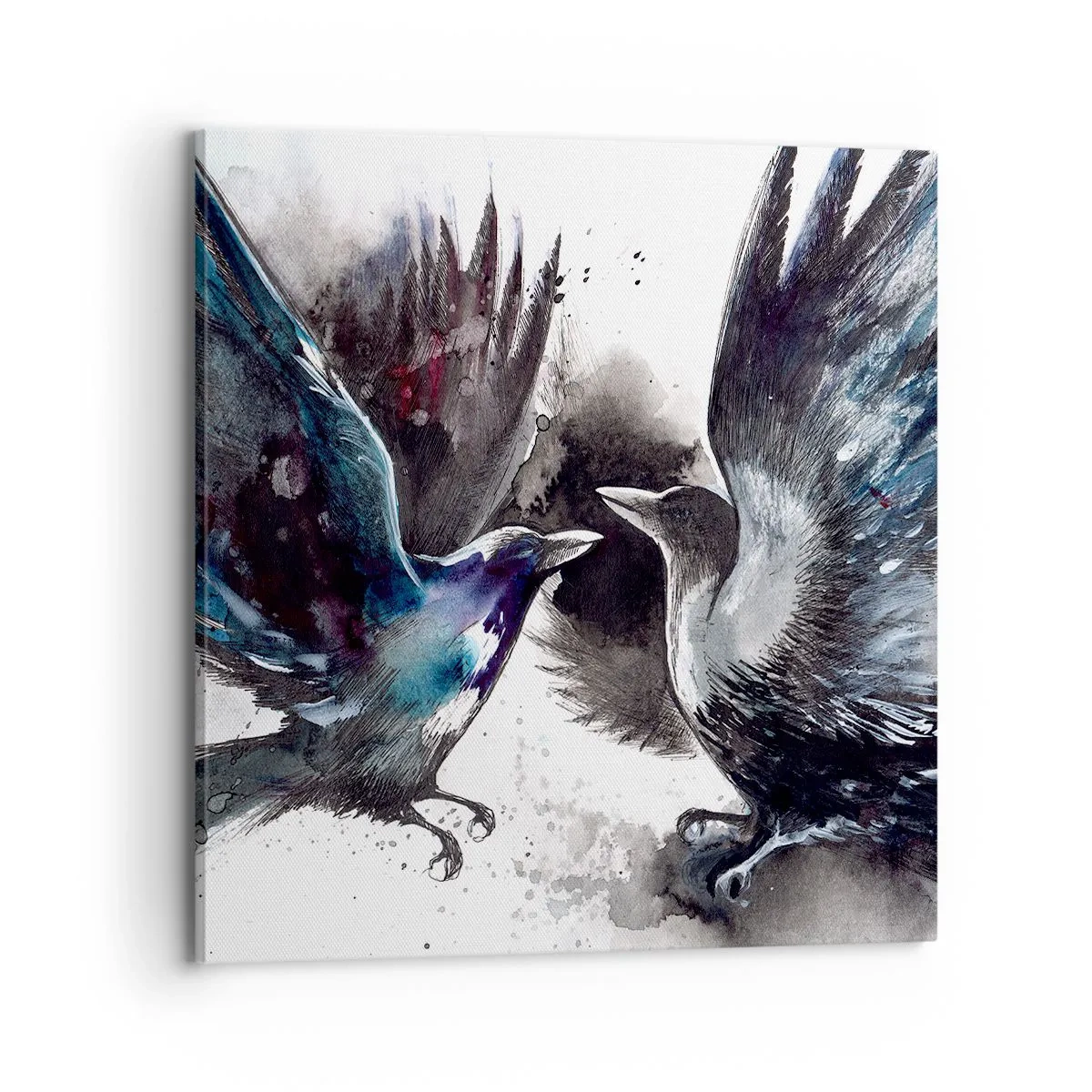 Obraz na plátně - Havran havranovi… - 70x70 cm