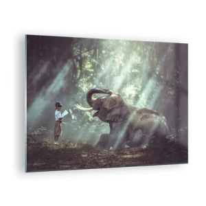 Obraz na skle - Chlapec s knihou a slonem v lesním prostředí - 70x50cm - A poslouchej tohle… - Moderní nástěnná dekorace do obývacího pokoje a ložnice ARTTOR