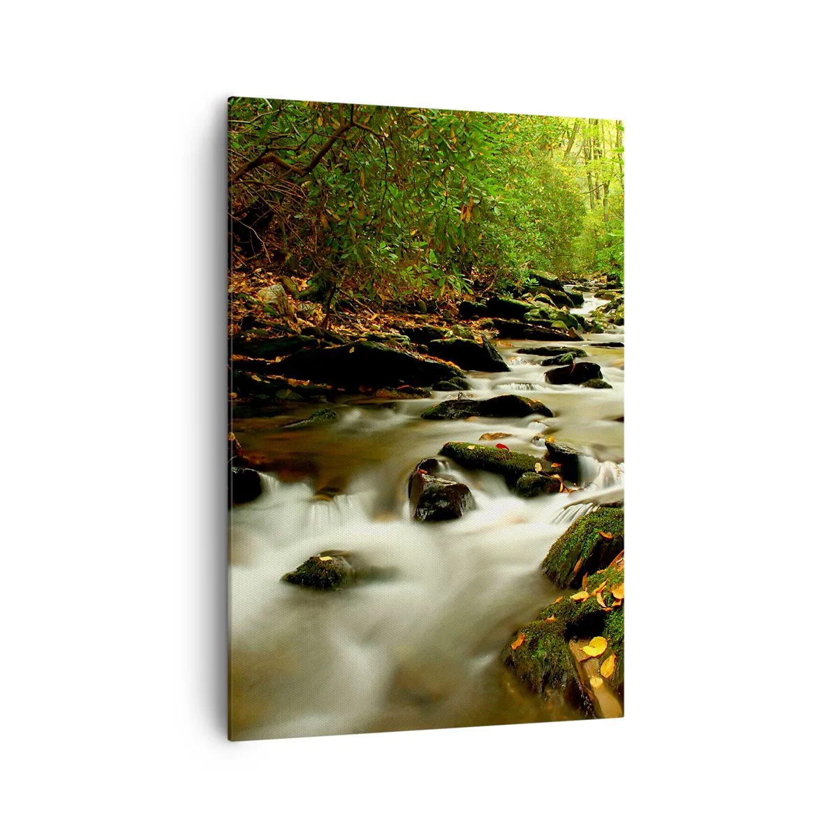 Obraz na plátně - Jako tekuté stříbro - 70x100 cm