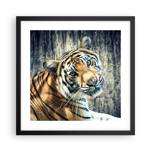 Plakát v černém rámu - Portrét v pramenech světla - 40x40 cm