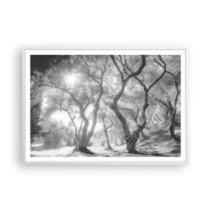 Plakát v bílém rámu - V olivovém háji - 100x70 cm