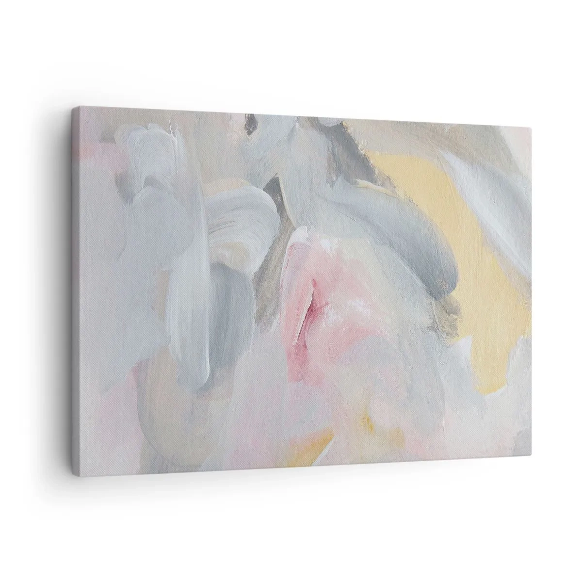 Obraz na plátně - V pastelovém světě - 70x50 cm