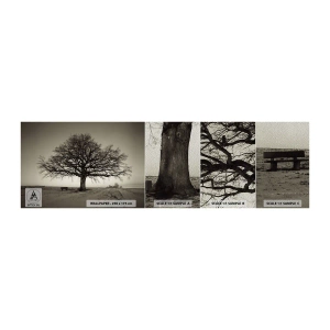 Vzor Fototapety Premium Sand - Odtud až na věčnost - Krajina, Strom, Příroda - 100x30 cm