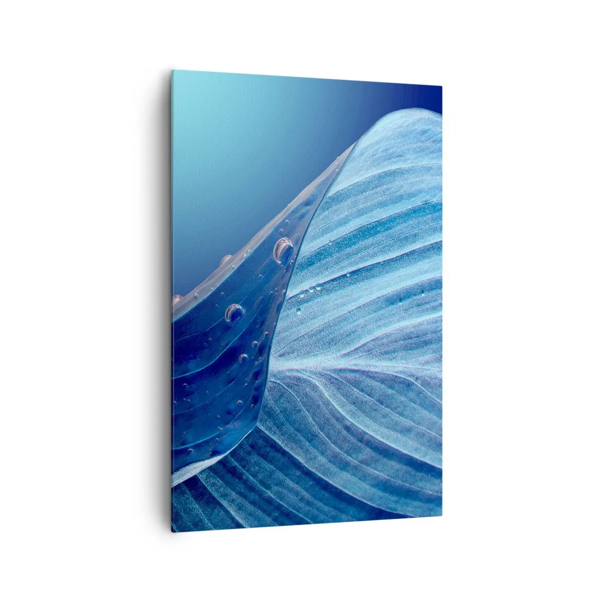 Obraz na plátně - Skryté kapky modři - 80x120 cm