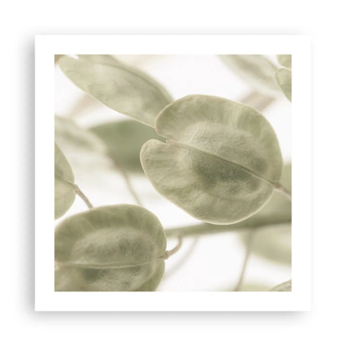 Plakát - Na začátku bylo listí… - 50x50 cm