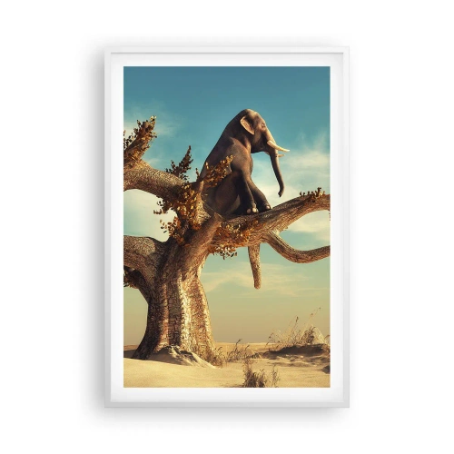 Plakát v bílém rámu - Nový úhel pohledu - 61x91 cm