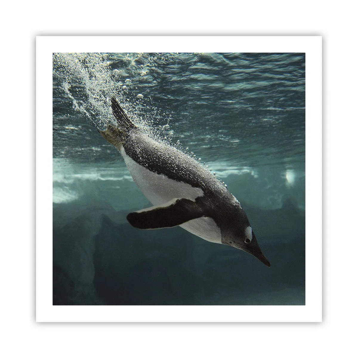 Plakát - Vítejte v mém světě - 60x60 cm