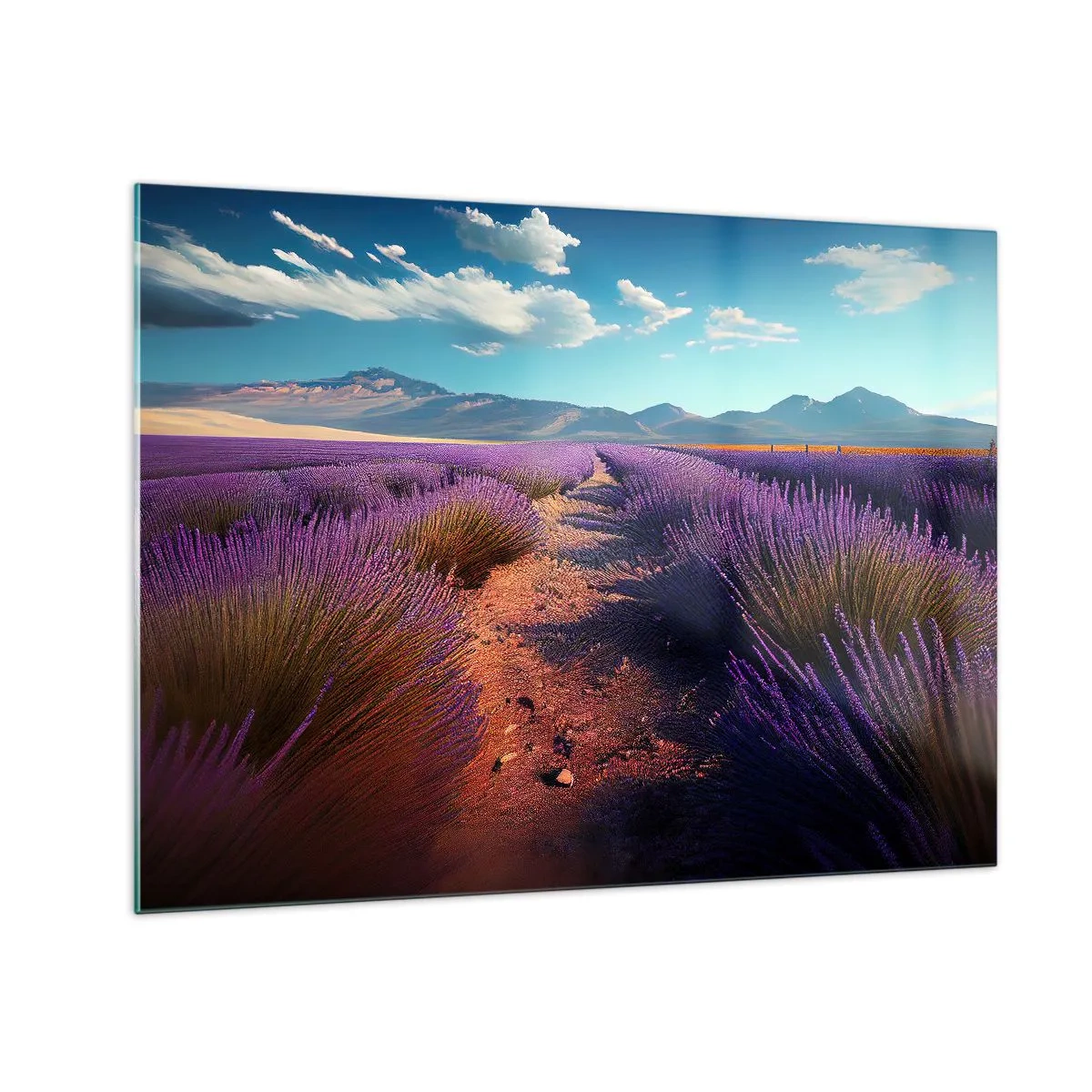 Obraz na skle - Levandulová pole při západu slunce s výhledem na hory - 70x50cm - Voňavá pole - Moderní nástěnná dekorace do obývacího pokoje a ložnice ARTTOR