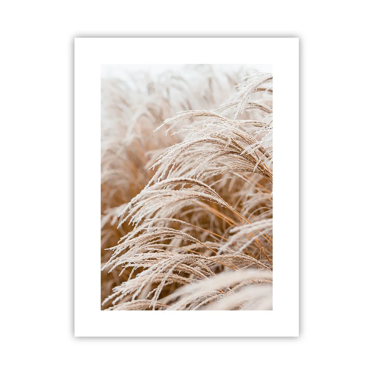 Plakát - Klanění podzimnímu slunci - 30x40 cm