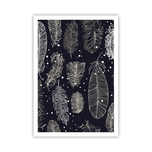 Plakát - Krajka s peřím - 70x100 cm