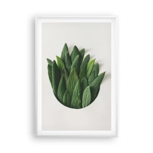 Plakát v bílém rámu - Neukojitelná zvědavost - 61x91 cm