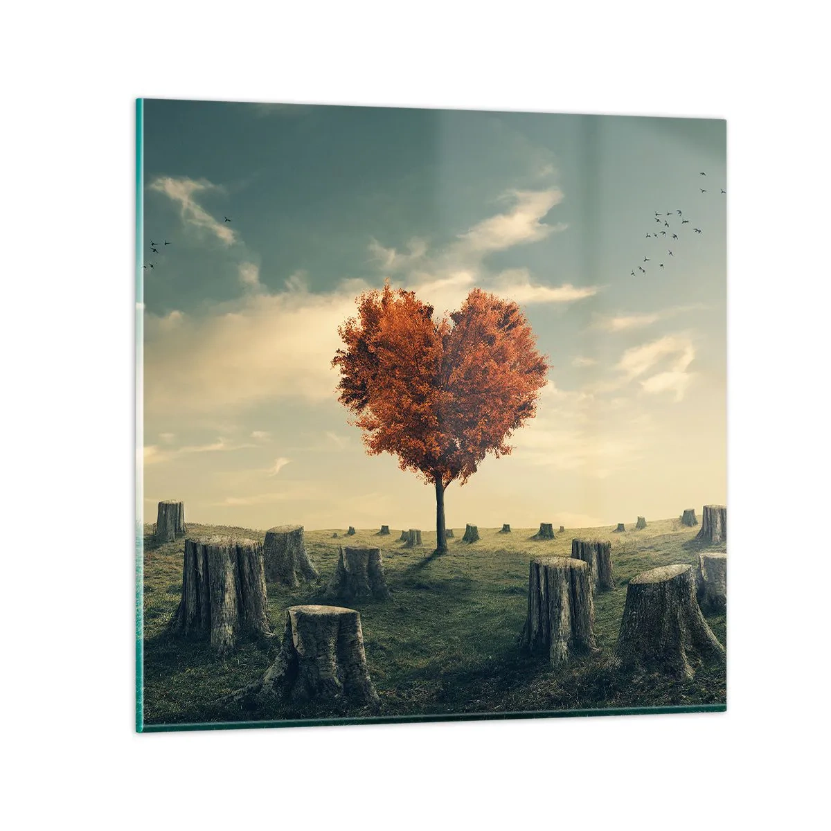 Obraz na skle - Pořád je ještě naděje - 40x40 cm