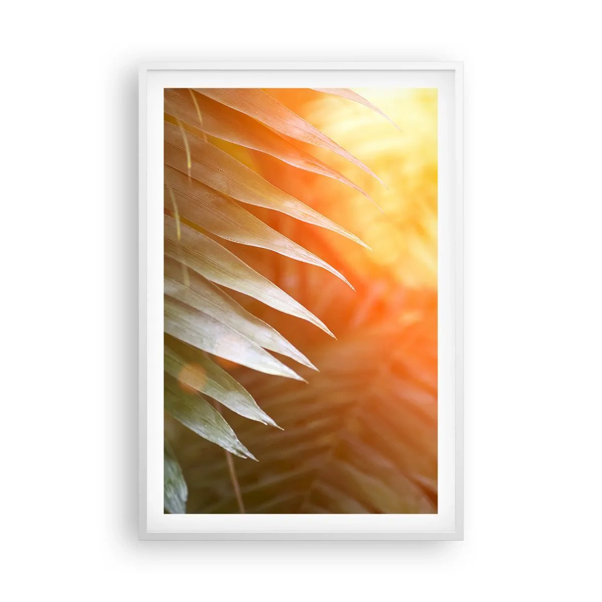 Plakát v bílém rámu - Ráno v džungli - 61x91 cm