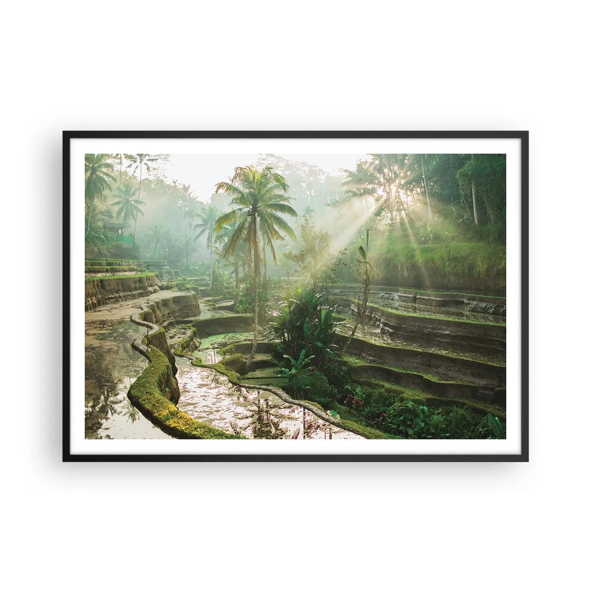 Plakát v černém rámu - Vyrůstát na slunci - 100x70 cm