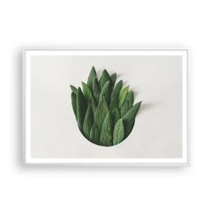 Plakát v bílém rámu - Neukojitelná zvědavost - 100x70 cm