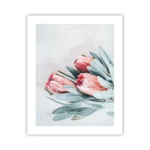 Plakát - Zahanbené svou vlastní krásou - 40x50 cm