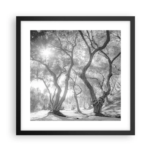 Plakát v černém rámu - V olivovém háji - 40x40 cm