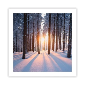 Plakát - Jasně černé na bílém - 50x50 cm