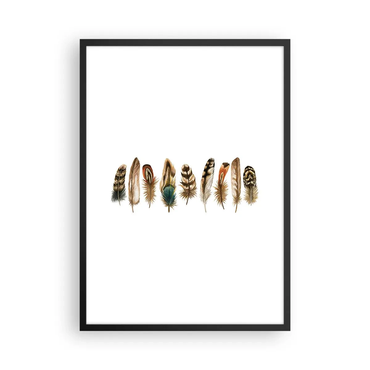 Plakát v černém rámu - Barevné peří v řadě - 50x70cm - Opeřená variace - Moderní nástěnná dekorace do obývacího pokoje a ložnice ARTTOR