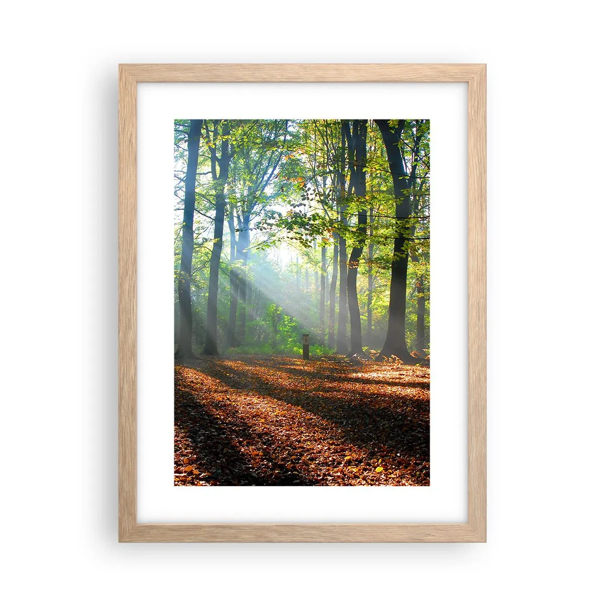 Plakát v rámu světlý dub - Světla a stíny - 30x40 cm