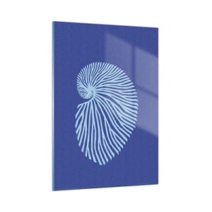 Obraz na skle - Zrození mušle - 50x70 cm