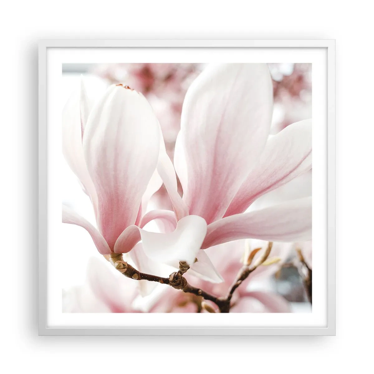 Plakát v bílém rámu - Nesmírnost něžnosti - 60x60 cm
