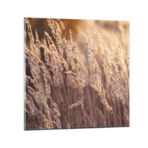 Obraz na skle - Připraveni přivítat podzim - 70x70 cm