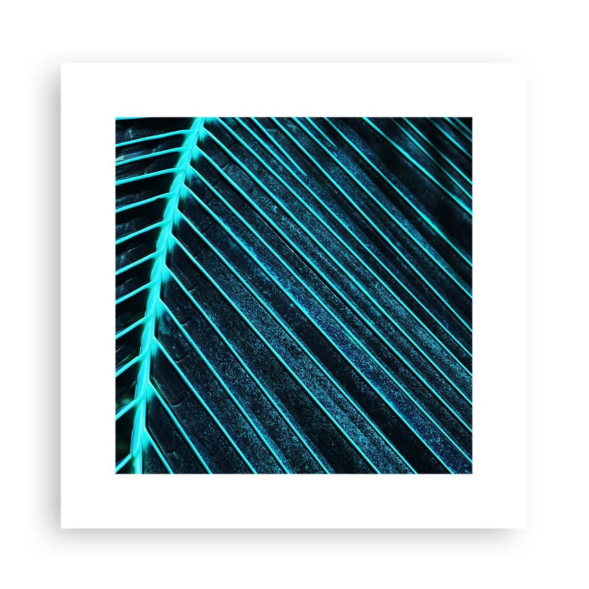 Plakát - Textura zeleně - 30x30 cm