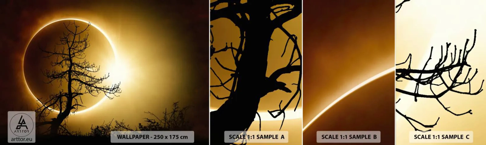 Fototapeta Vzorek Standard Eco - Úplné zatmění - Zatmění, Strom, Krajina - 100x30 cm