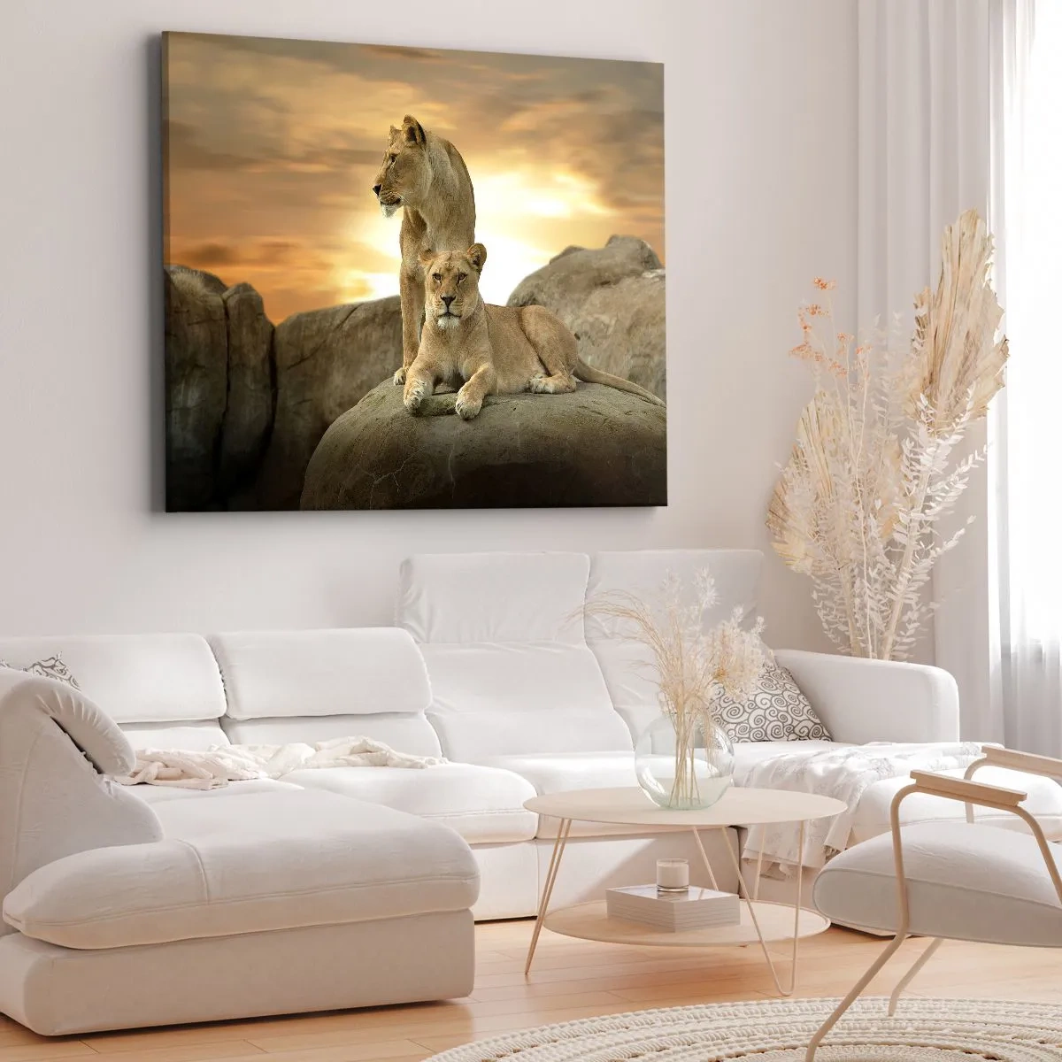 Obraz na plátně - Dvě lvice odpočívající na skále při západu slunce - 70x50cm - Královský majestát - Moderní nástěnná dekorace do obývacího pokoje a ložnice ARTTOR
