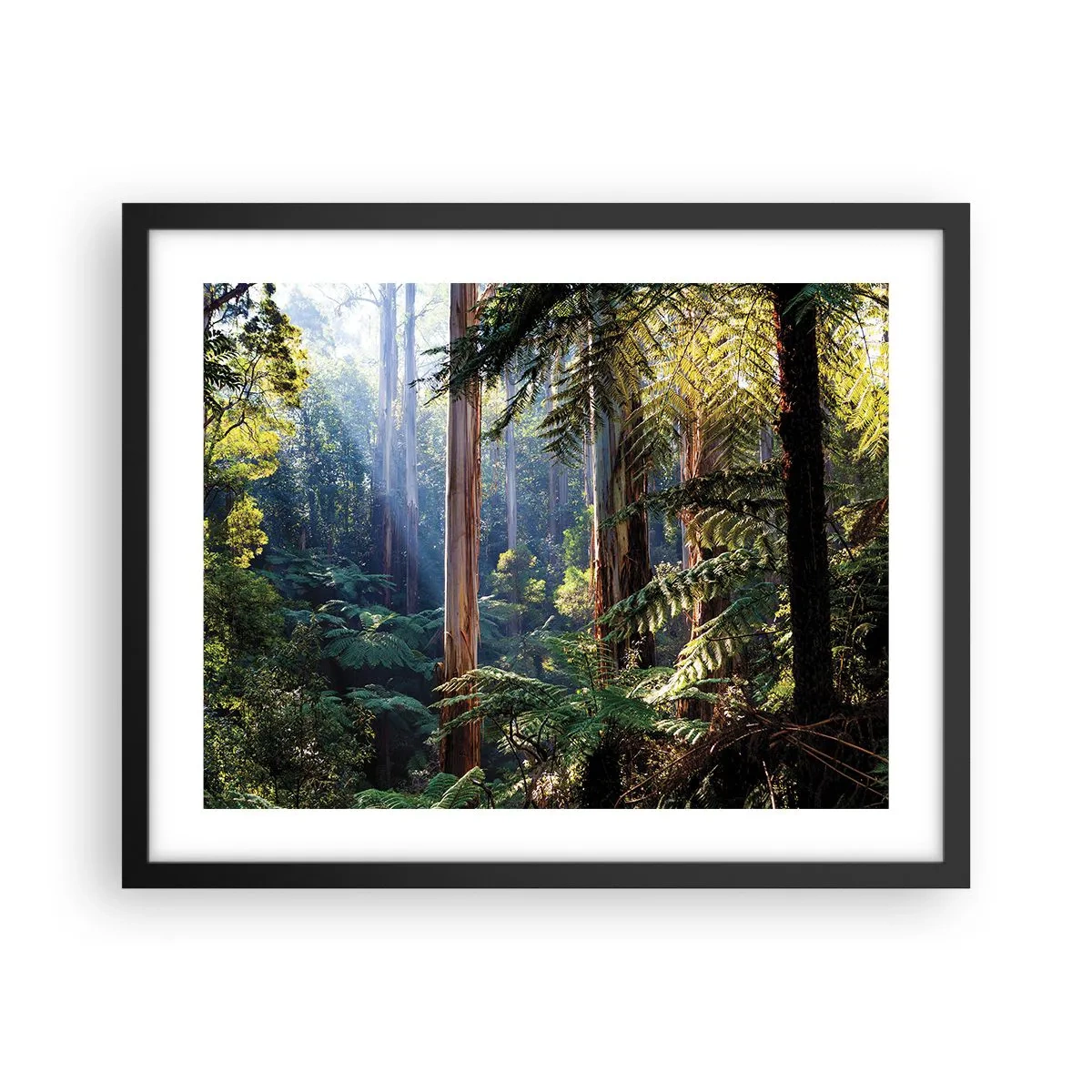 Plakát v černém rámu - Povídka lesa - 50x40 cm