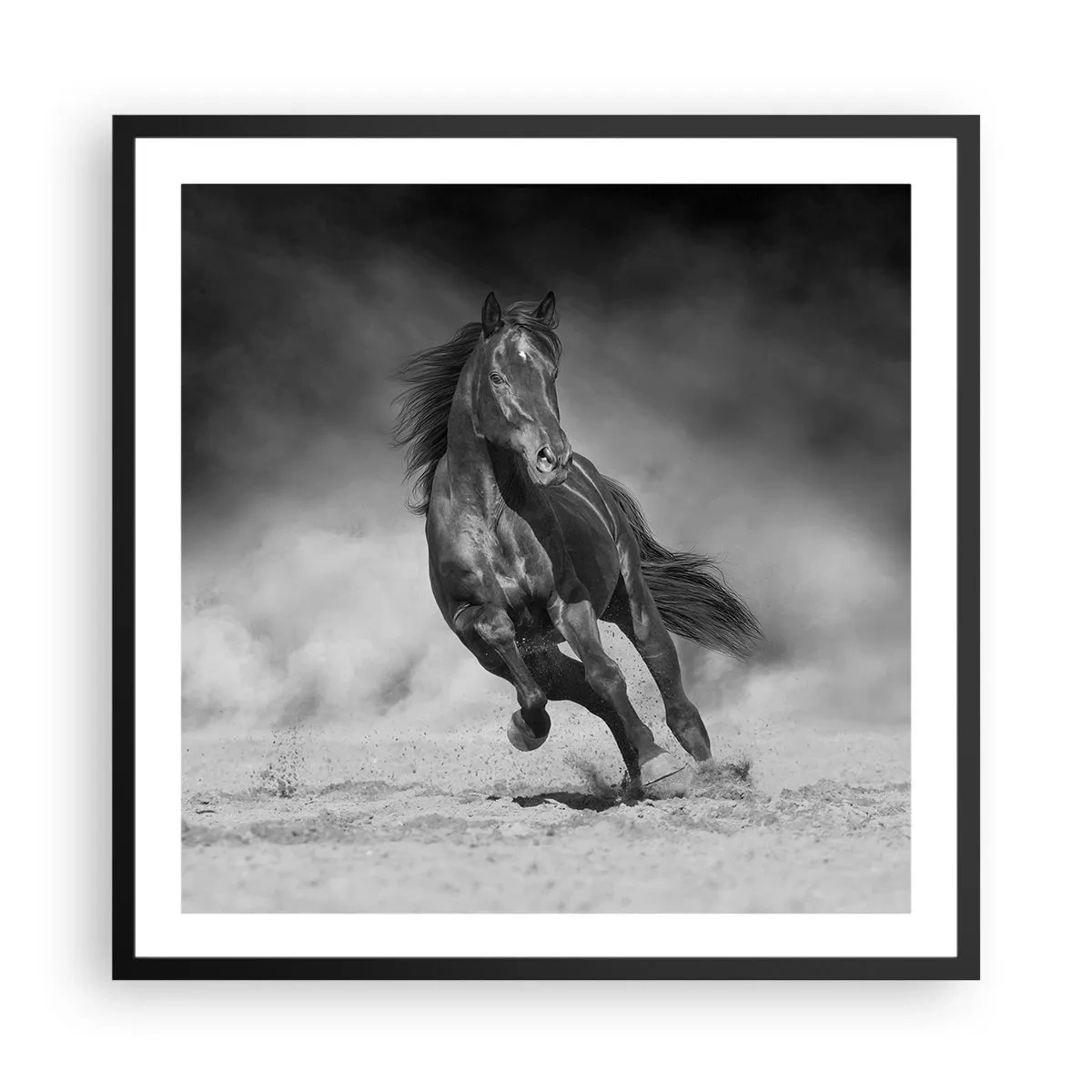 Plakát v černém rámu - Hodné samotného emíra - 60x60 cm
