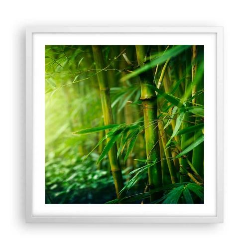 Plakát v bílém rámu - Poznat samotnou zeleň - 50x50 cm