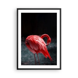 Plakát v černém rámu - Červený plameňák na tmavém pozadí, nenápadně otočený k sobě. - 50x70cm - Karmínová báseň přírody - Moderní nástěnná dekorace do obývacího pokoje a ložnice ARTTOR