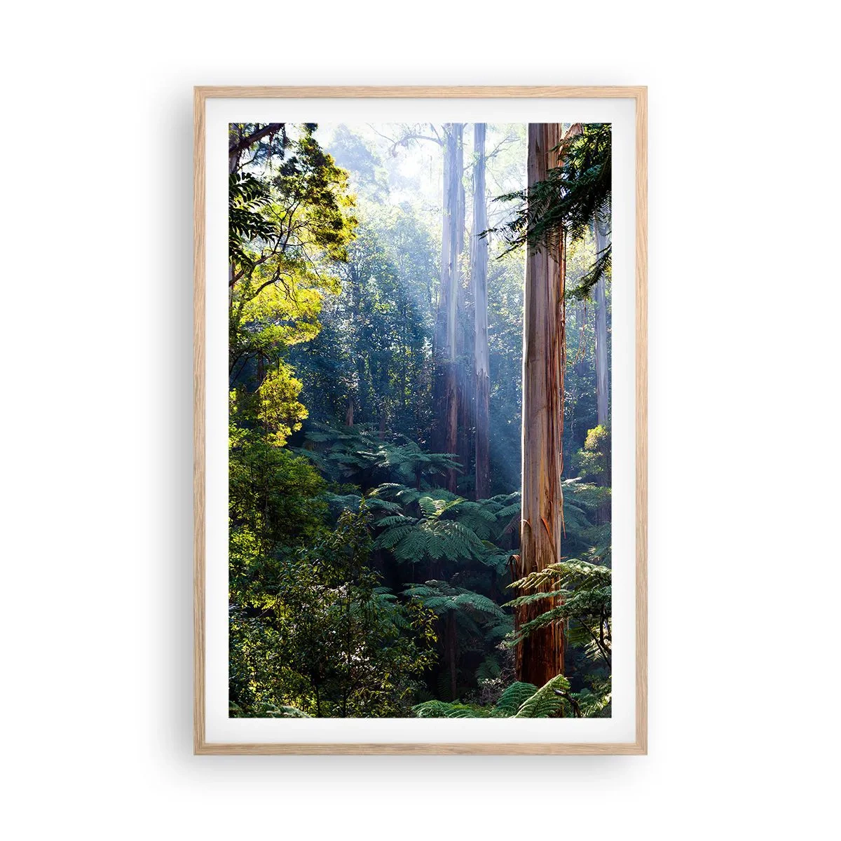 Plakát v rámu světlý dub - Povídka lesa - 61x91 cm