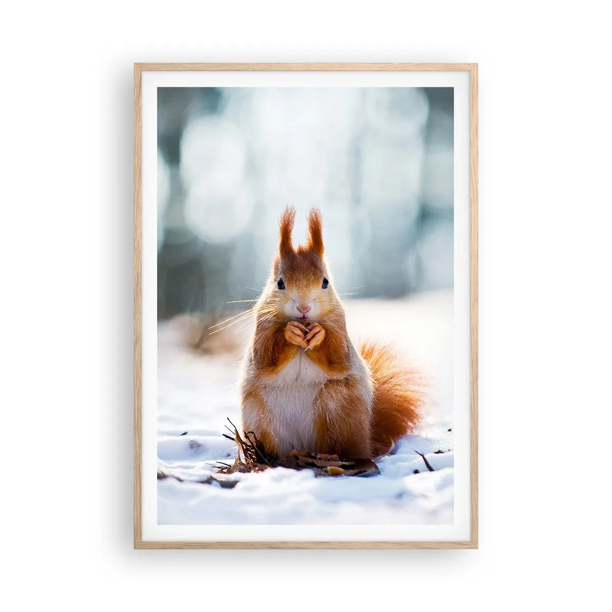 Plakát v rámu světlý dub - Co se tak díváš? - 70x100 cm