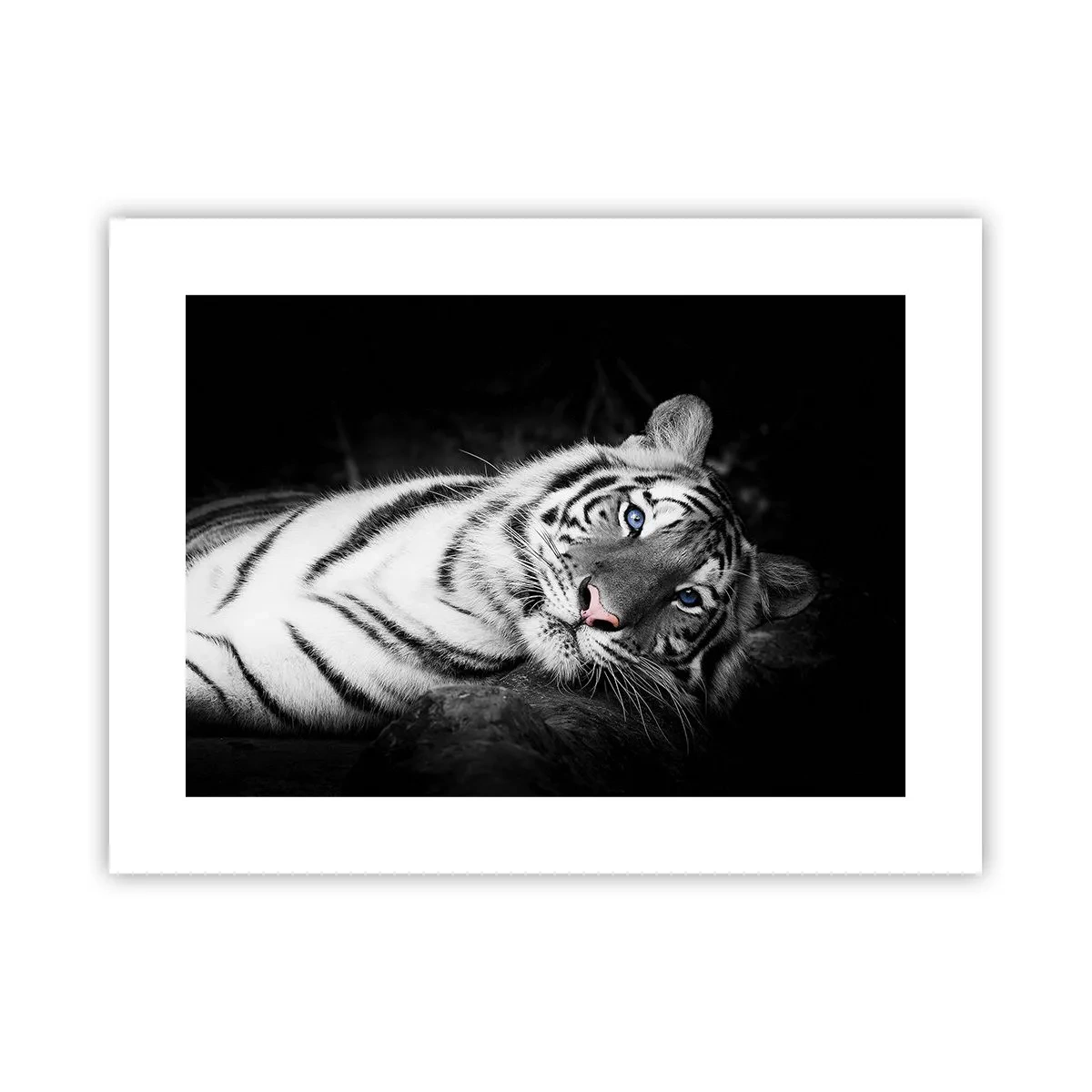 Plakát - Divočina a klid - 40x30 cm