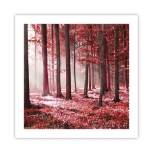 Plakát - Červená je stejně krásná - 50x50 cm