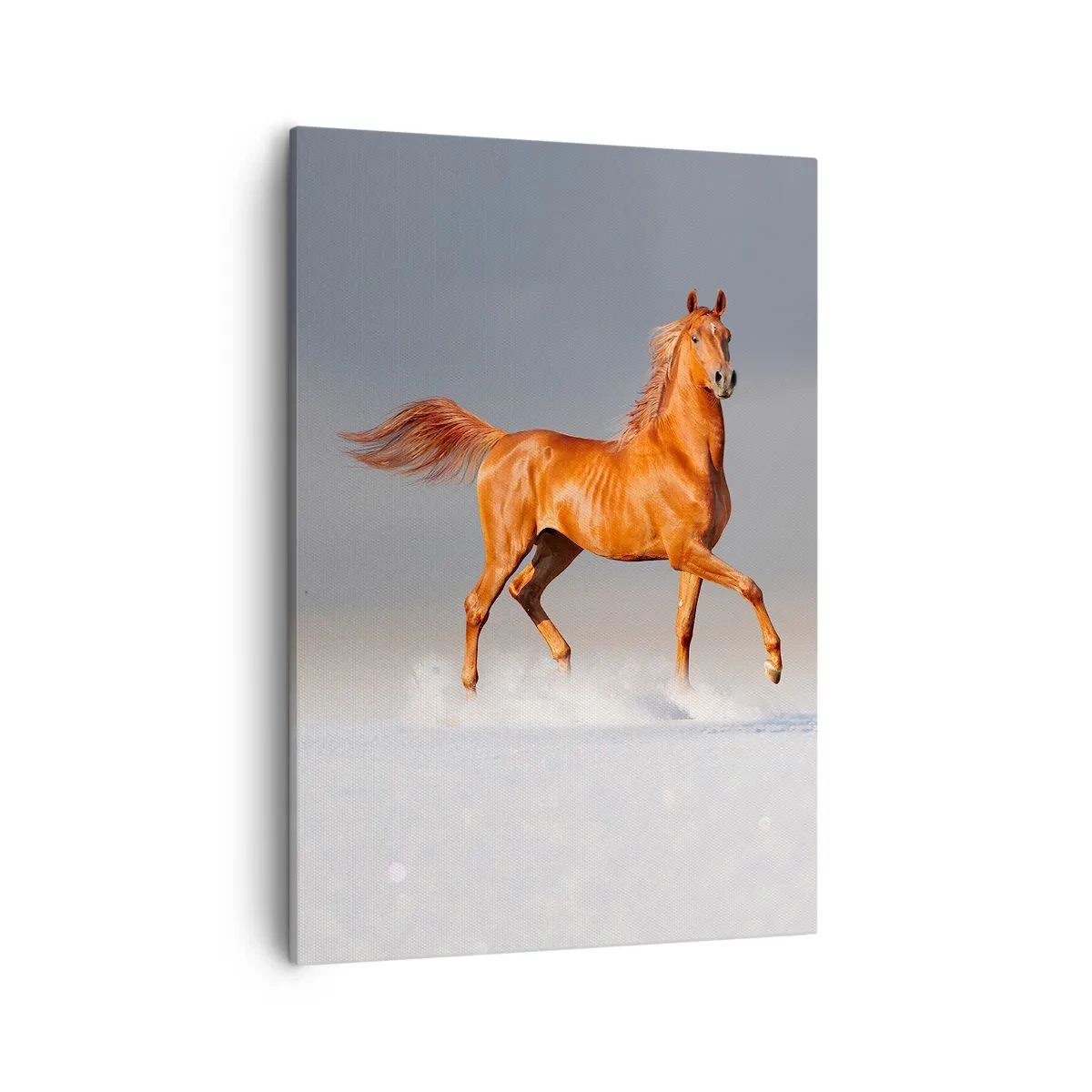 Obraz na plátně - Tančící elegance - 50x70 cm