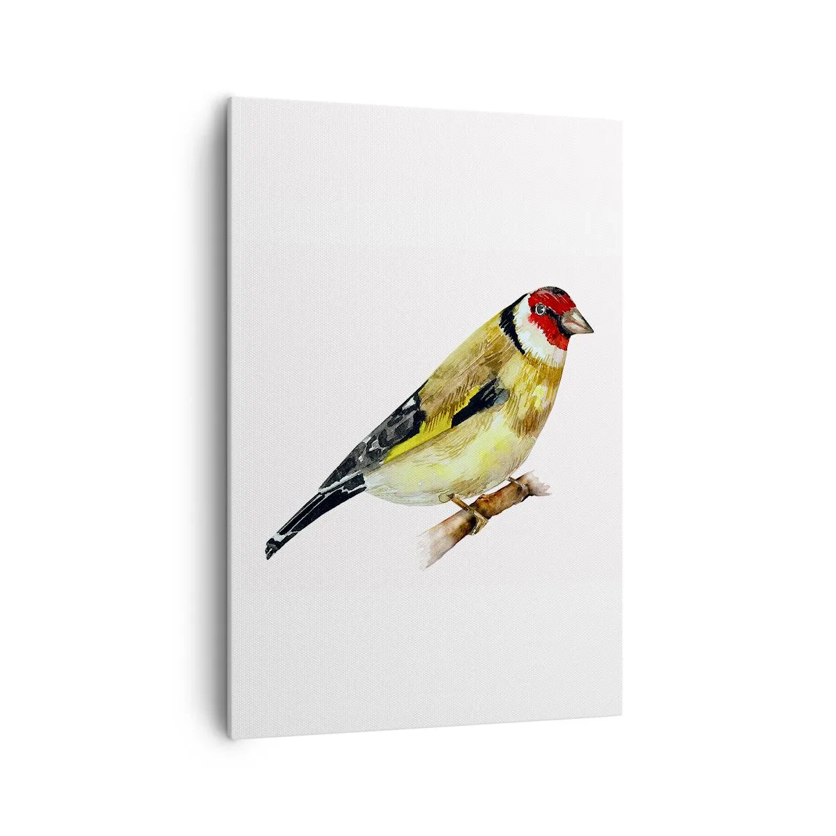 Obraz na plátně - Ptáčí portrét - 70x100 cm