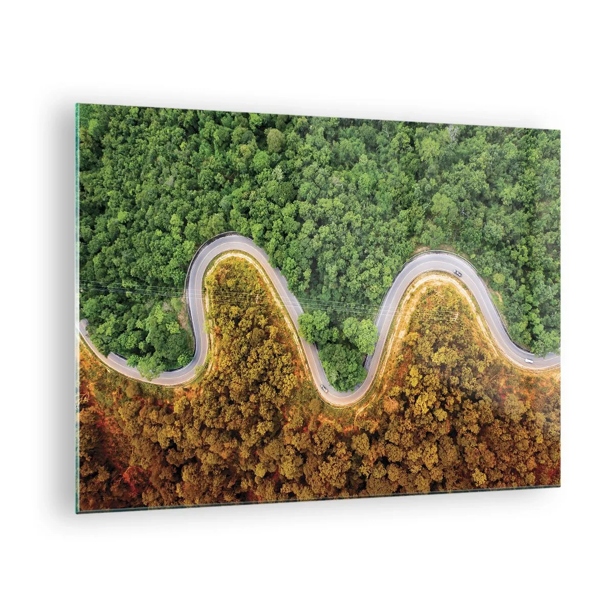 Obraz na skle - Klikatá cesta hustým lesem z ptačí perspektivy - 70x50cm - Hranice a průlomy - Moderní nástěnná dekorace do obývacího pokoje a ložnice ARTTOR