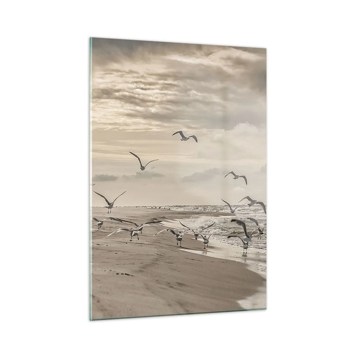 Obraz na skle - Šumění moře, zpěv ptáků - 50x70 cm